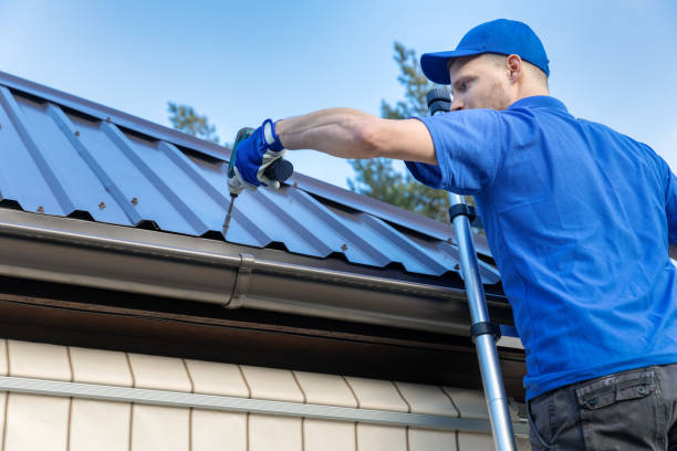 Best Gutter Replacement  in Troy, AL