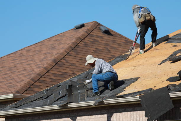 Best Roof Leak Repair  in Troy, AL