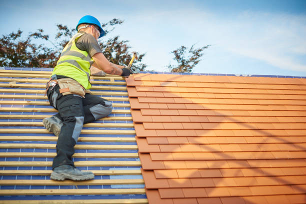 Best Chimney Flashing Repair  in Troy, AL